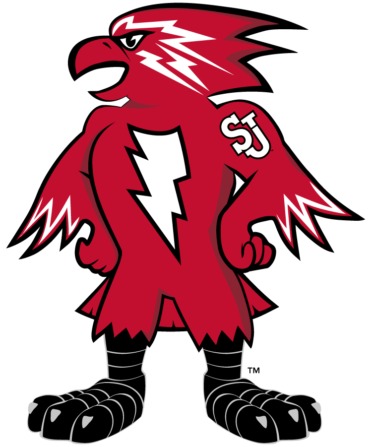 St. John's Red Storm 2013-2015 Mascot Logo v3 diy DTF decal sticker